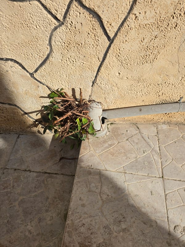 אברהים נאשף אינסטלציה