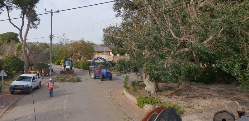עוויס פחרי ובניו בע"מ